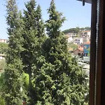 Ferahi Evler Hotel 3*
