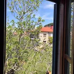 Ferahi Evler 3* Ayvalik